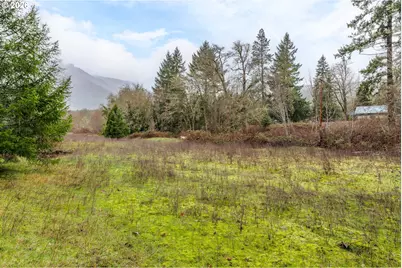 Upper Cow Creek Rd, Azalea, OR 97410 - Photo 21