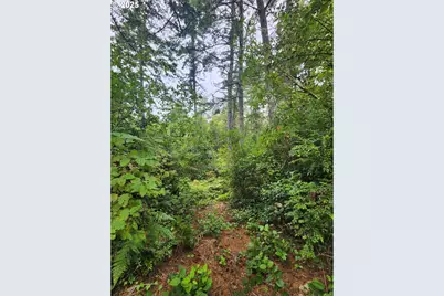 0 Sand Dune Park Dr #TL 800, Florence, OR 97439 - Photo 5