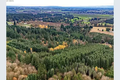 Nw Pumpkin Ridge Rd, North Plains, OR 97133 - Photo 13