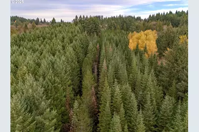 Nw Pumpkin Ridge Rd, North Plains, OR 97133 - Photo 5