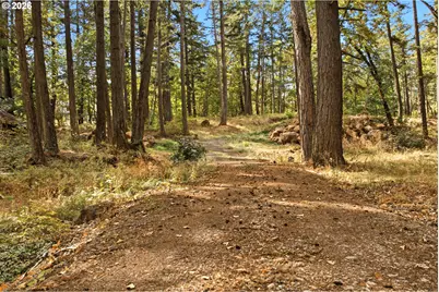 445 Country Club Rd, Hood River, OR 97031 - Photo 13