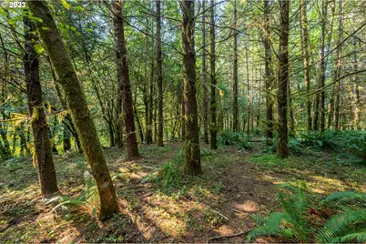0 Sitkum #300, Myrtle Point, OR 97458 - Photo 7