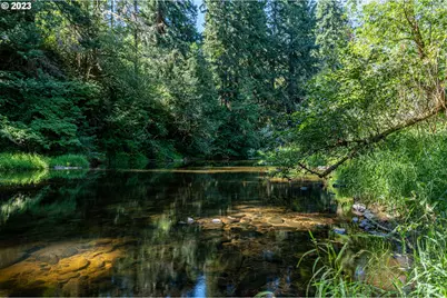 0 Sitkum #300, Myrtle Point, OR 97458 - Photo 21