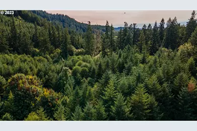 0 Sitkum #300, Myrtle Point, OR 97458 - Photo 17