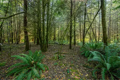 0 Sitkum #300, Myrtle Point, OR 97458 - Photo 3