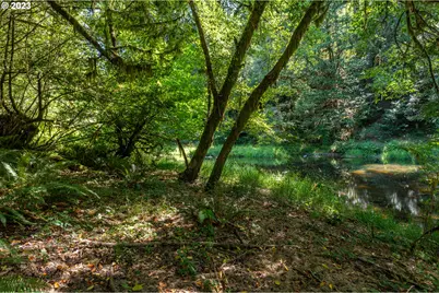 0 Sitkum #300, Myrtle Point, OR 97458 - Photo 19