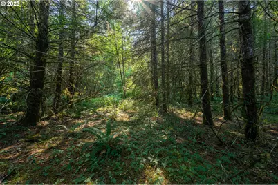 0 Sitkum #300, Myrtle Point, OR 97458 - Photo 11