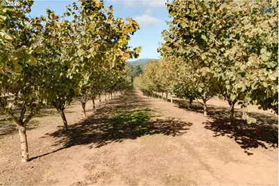 48025 NW Strohmayer Rd, Forest Grove, OR 97116 - Photo 13