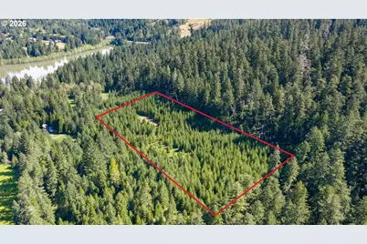 Berry Creek Rd, Winston, OR 97496 - Photo 3