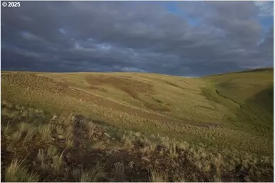 0 Ant Flat Rd, Enterprise, OR 97828 - Photo 17