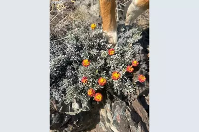 0 Ant Flat Rd, Enterprise, OR 97828 - Photo 19