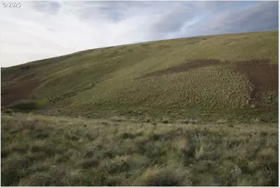 0 Ant Flat Rd, Enterprise, OR 97828 - Photo 9