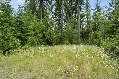 104 Bootjack Ln, Kelso, WA 98626 - Photo 17