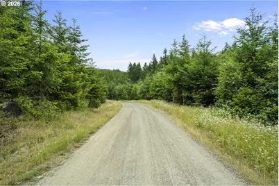 104 Bootjack Ln, Kelso, WA 98626 - Photo 3