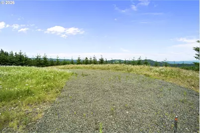 104 Bootjack Ln, Kelso, WA 98626 - Photo 11