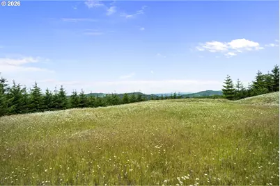 104 Bootjack Ln, Kelso, WA 98626 - Photo 15