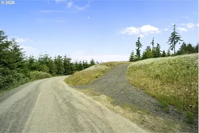 104 Bootjack Ln, Kelso, WA 98626 - Photo 5