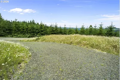104 Bootjack Ln, Kelso, WA 98626 - Photo 9