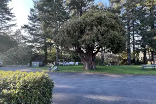 16063 Driftwood Ln, Brookings, OR 97415 - Photo 3