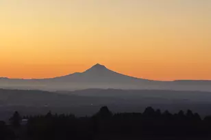 16935 SW Holly Hill Rd, Hillsboro, OR 97123 - Photo 1