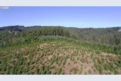 16935 SW Holly Hill Rd, Hillsboro, OR 97123 - Photo 3
