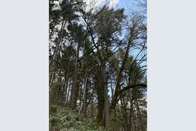 0 Old Railroad Grade Rd, Yamhill, OR 97148 - Photo 7