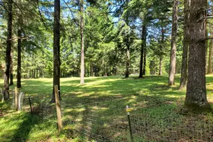1401 Reuben Boise Rd, Dallas, OR 97338 - Photo 43