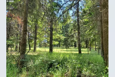1401 Reuben Boise Rd, Dallas, OR 97338 - Photo 47