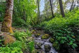 988 Savage Creek Rd, Grants Pass, OR 97527 - Photo 11