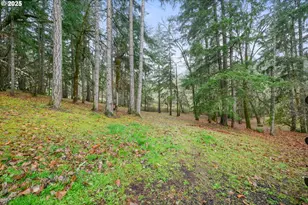 28198 Briggs Hill Rd, Eugene, OR 97405 - Photo 43