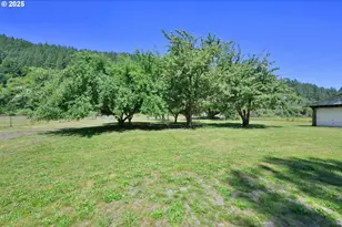 7349 Henderer Rd, Elkton, OR 97436 - Photo 41