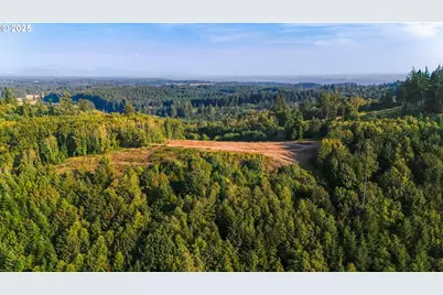 Nw 389th St, Woodland, WA 98674 - Photo 7