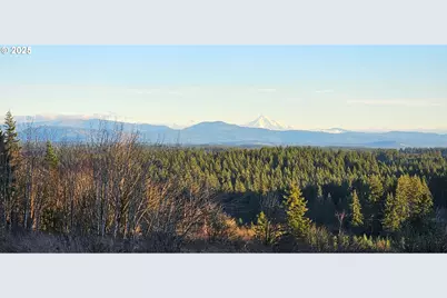 Nw 389th St, Woodland, WA 98674 - Photo 13