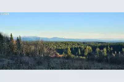 Nw 389th St, Woodland, WA 98674 - Photo 15