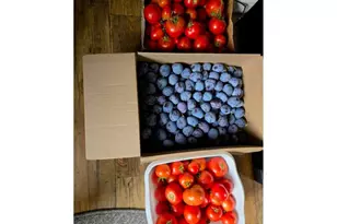 2723 Oakland Loop, Salem, OR 97317 - Photo 29