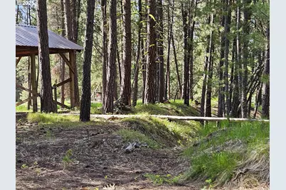 [Address not provided], Sumpter, OR 97877 - Photo 23