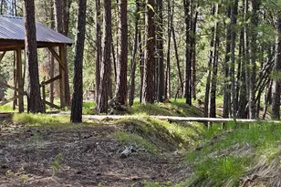 [Address not provided], Sumpter, OR 97877 - Photo 23