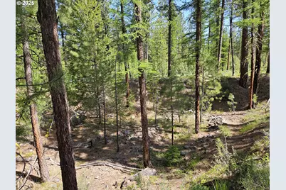 [Address not provided], Sumpter, OR 97877 - Photo 33