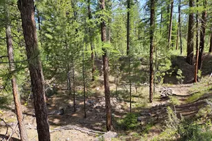 [Address not provided], Sumpter, OR 97877 - Photo 33