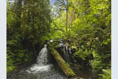 Hwy 30, Clatskanie, OR 97016 - Photo 3