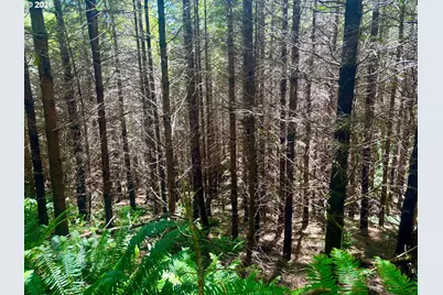 Us Highway 101, Reedsport, OR 97467 - Photo 9