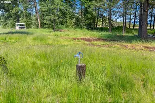 18 Lakeside Rd, Glenwood, WA 98619 - Photo 15
