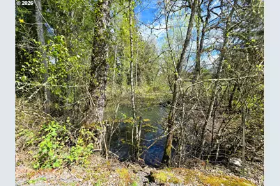 38381 Crawfordsville Dr, Sweet Home, OR 97386 - Photo 9