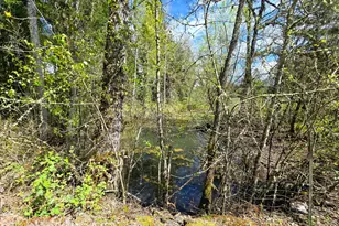 38381 Crawfordsville Dr, Sweet Home, OR 97386 - Photo 9