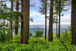 28800 SW Wildhaven Ln, Hillsboro, OR 97123 - Photo 45