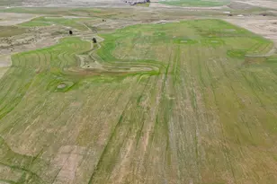 390 Bickleton Hwy, Goldendale, WA 98620 - Photo 15