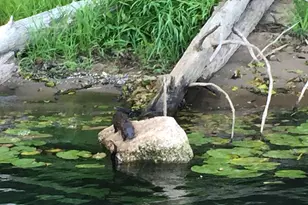 2647 S Tenmile, Lakeside, OR 97449 - Photo 43