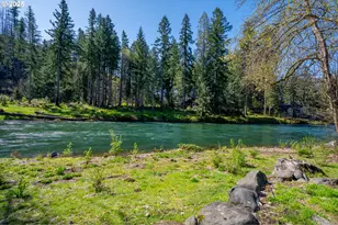 46836 McKenzie Hwy, Vida, OR 97488 - Photo 45