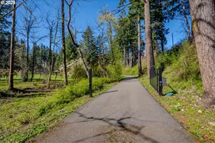 46836 McKenzie Hwy, Vida, OR 97488 - Photo 5