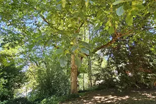 701 NE 117th St, Vancouver, WA 98685 - Photo 27